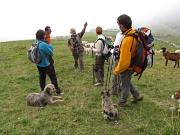 CIMA CADELLE (2483 m.) il 27 settembre 2009 - FOTOGALLERY